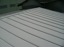 DSCF1143